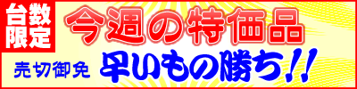 ���T�̓����i